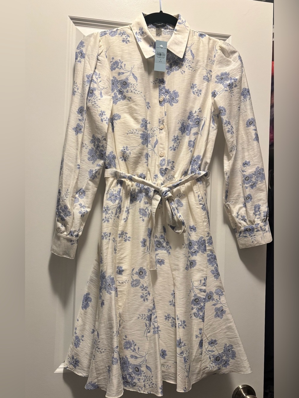 Ann Taylor Cream Shirtwaist Dress with Blue Floral Print